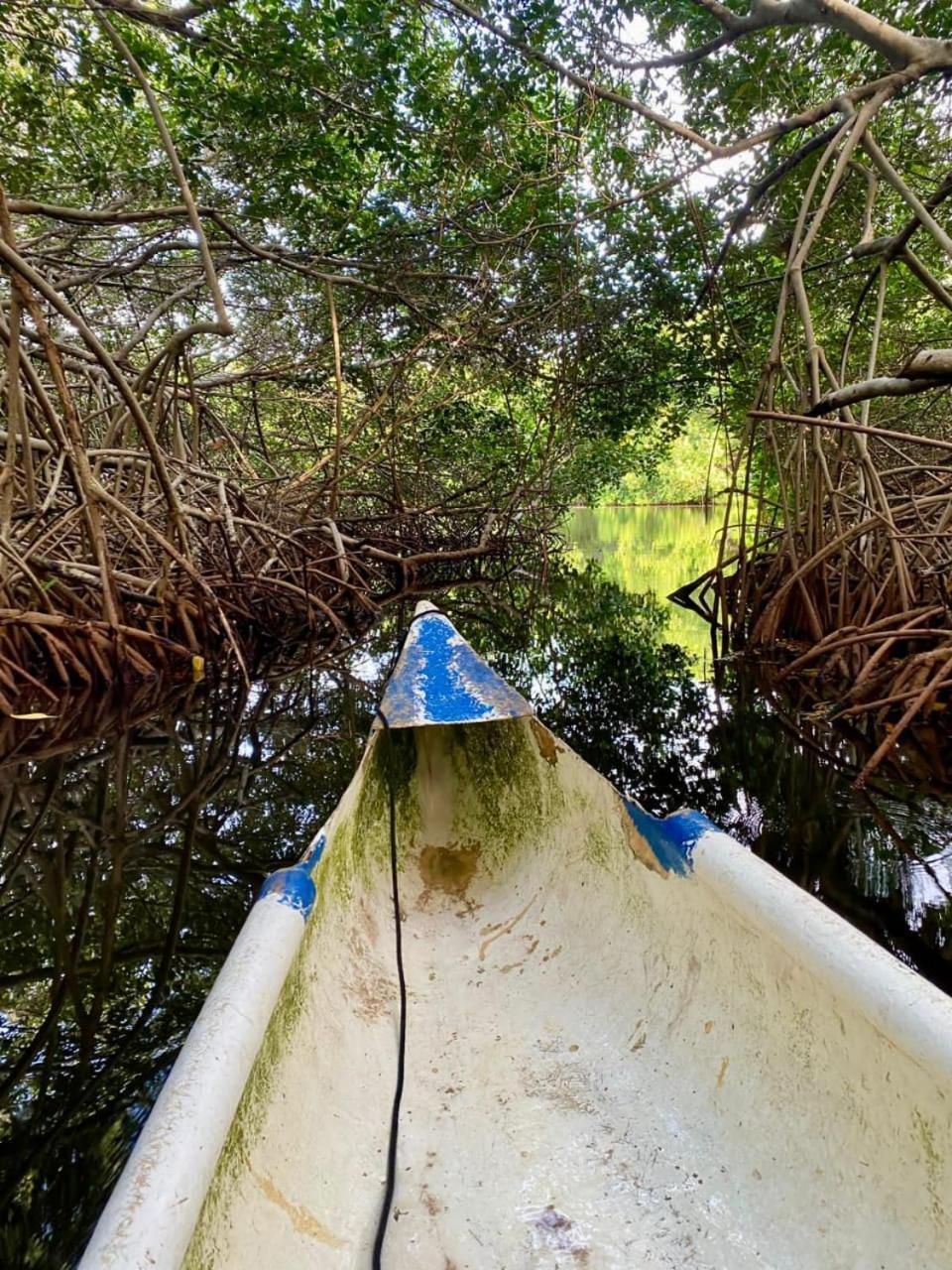 Eco Hotel Bosque Encantado Isla Grande  Ngoại thất bức ảnh
