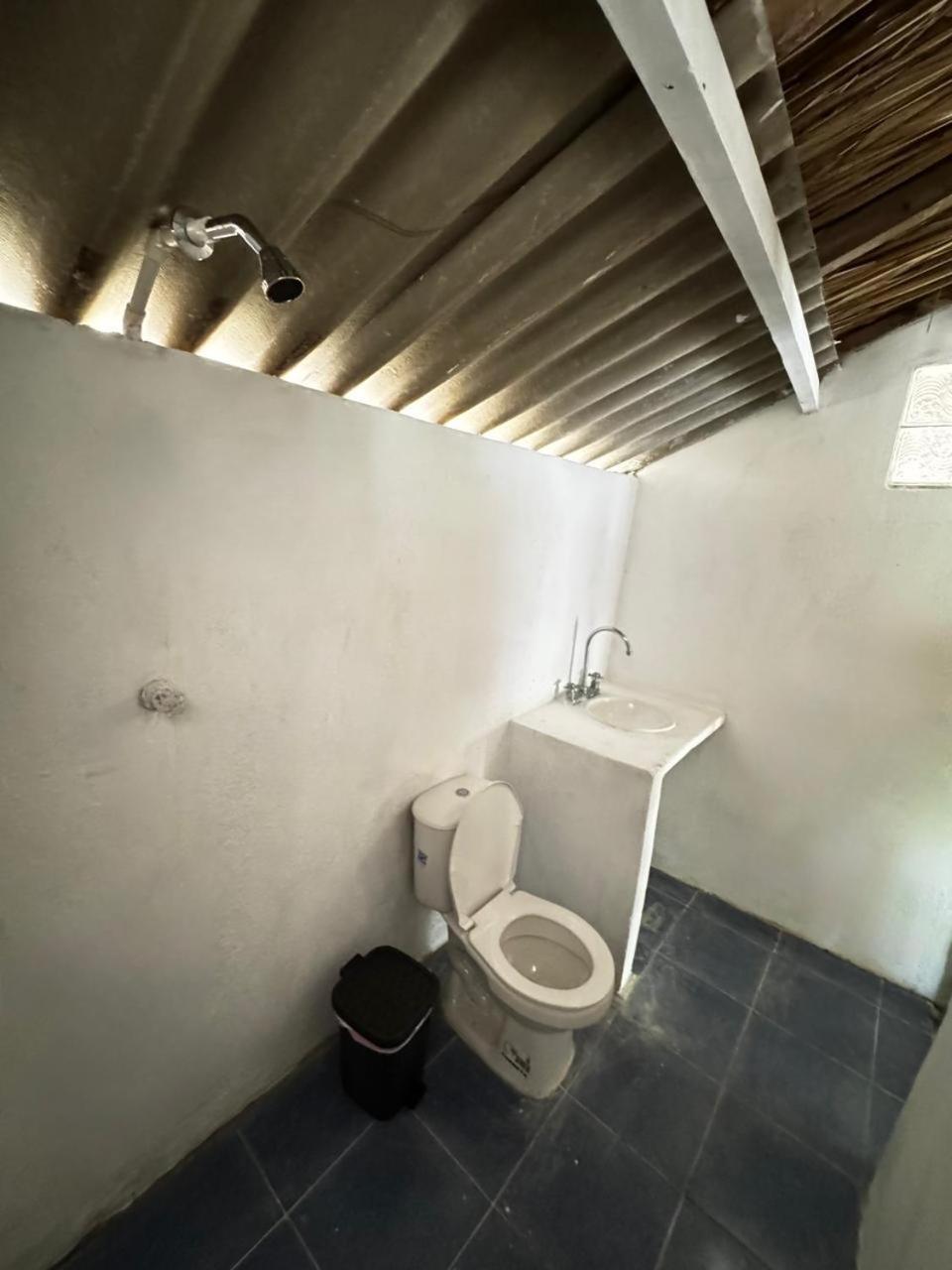 Eco Hotel Bosque Encantado Isla Grande  Ngoại thất bức ảnh